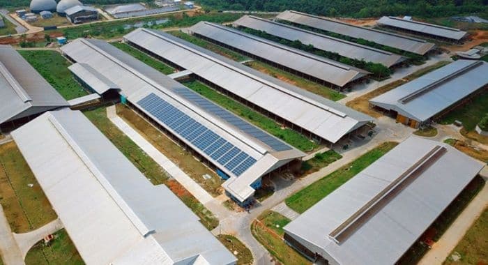 dari_atap_untuk_bumi_16_gerai_trans_retail_resmi_pakai_plts_kapasitas_tembus_12_mw_