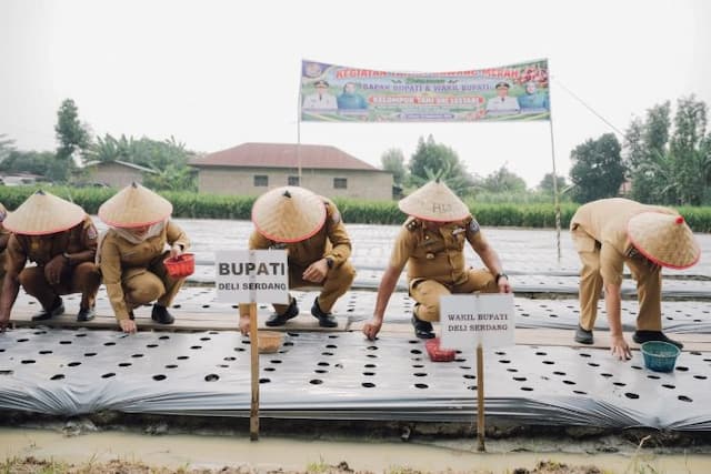 deli_serdang_uji_budidaya_bawang_merah_100_kg_bibit_ditarget_hasilkan_1_ton