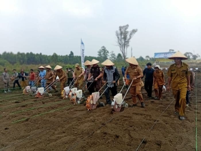 sijaba_didorong_jadi_model_pertanian_terpadu_di_tapanuli_utara