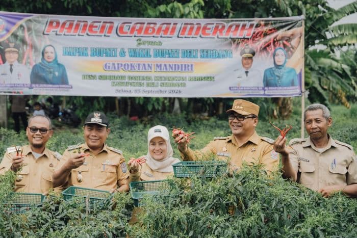 toppis_jadi_andalan_pemkab_deli_serdang_kendalikan_harga_cabai