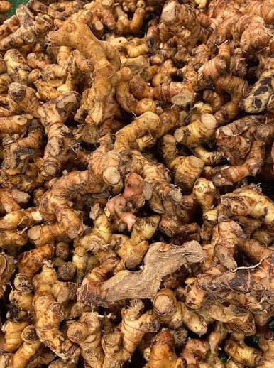 15_tanaman_obat_paling_banyak_diproduksi_di_indonesia_pada_2025_jahe_teratas