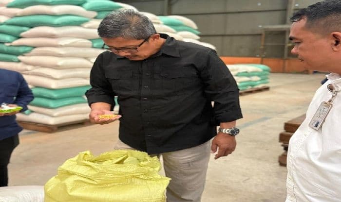 stok_melimpah_bulog_tetap_serap_gabah_dan_jagung_petani_di_sumatera_utara