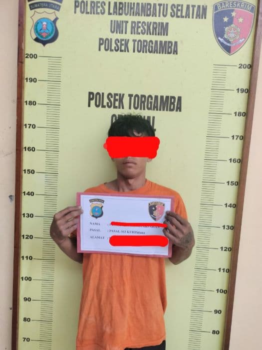polisi_tangkap_dua_pencurian_racun_rumput_di_kebun_torgamba