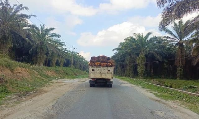 dprd_simalungun_desak_dishub_tertibkan_truk_odol_siap_turun_sidak_dan_razia_gabungan