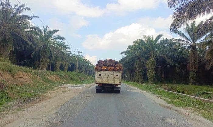 dprd_simalungun_desak_dishub_tertibkan_truk_odol_siap_turun_sidak_dan_razia_gabungan
