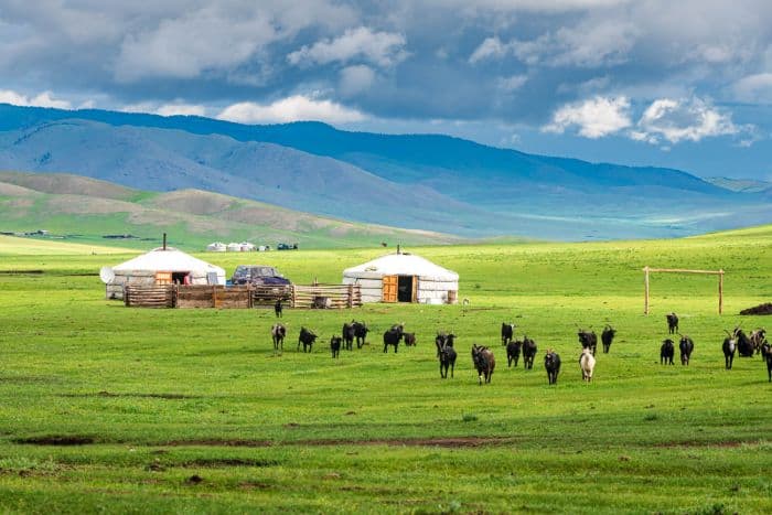 pemerintah_china_dilaporkan_batasi_ruang_digital_masyarakat_mongolia