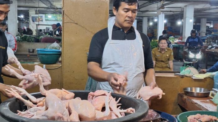 gpm_dan_bansos_tahan_lonjakan_harga_daging_jelang_idulfitri_di_medan