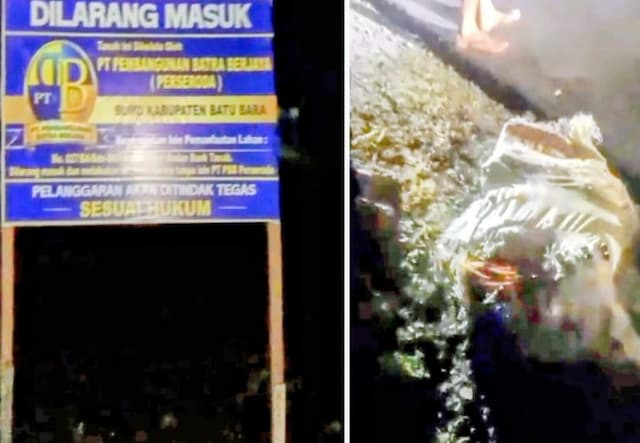 kebun_sawit_bumd_batu_bara_di_siparepare_dijarah_warga_ini_tanggapan_direkturnya