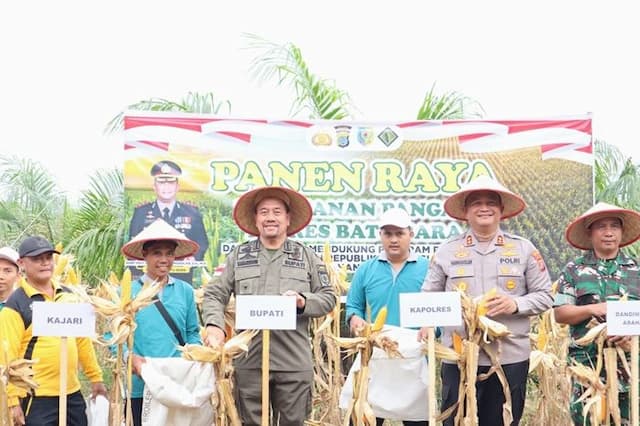 panen_raya_jagung_di_kebun_pt_psu_ini_kata_bupati_dan_kapolres_batu_bara