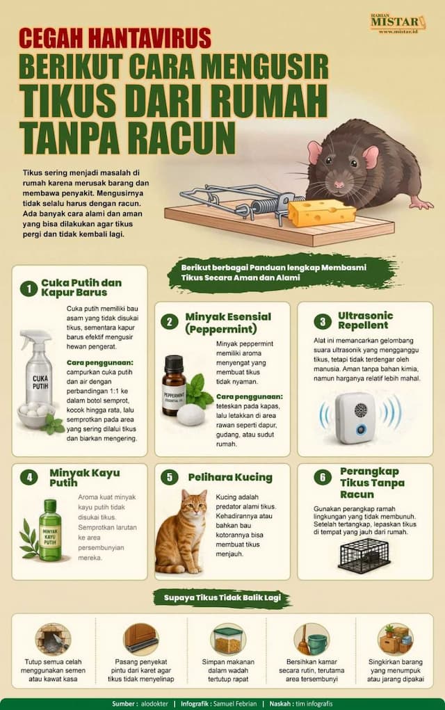 cegah_hantavirus_berikut_cara_mengusir_tikus_dari_rumah_tanpa_racun