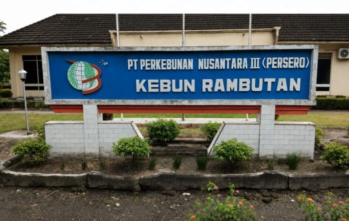 kasus_pencurian_tandan_buah_segar_berlanjut_manager_kebun_rambutan_sergai_bilang_begini