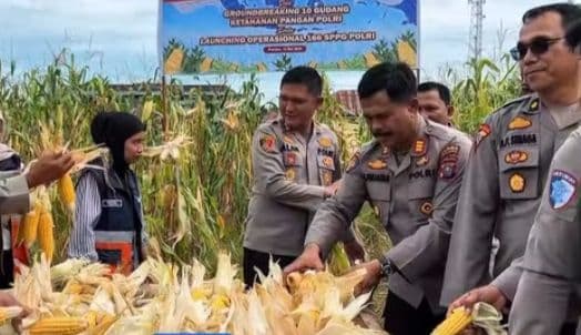 polres_tapteng_panen_raya_jagung_serentak_kuartal_ii
