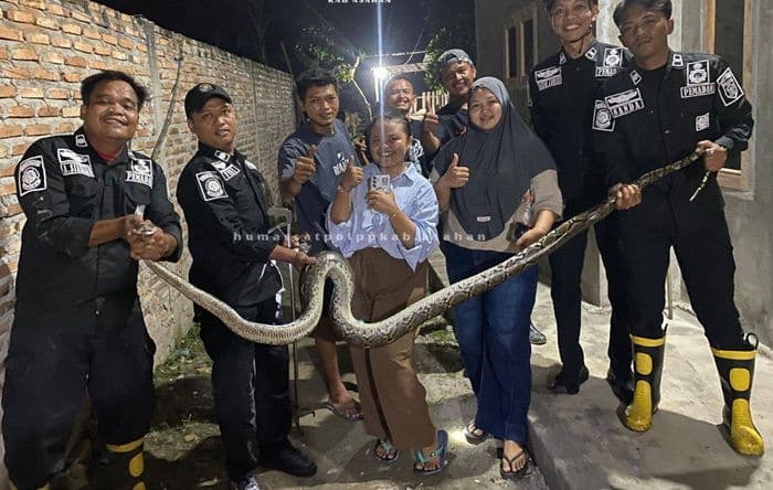 ular_sumbat_saluran_air_rumah_warga_asahan_selama_3_hari_damkar_turun_tangan_evakuasi