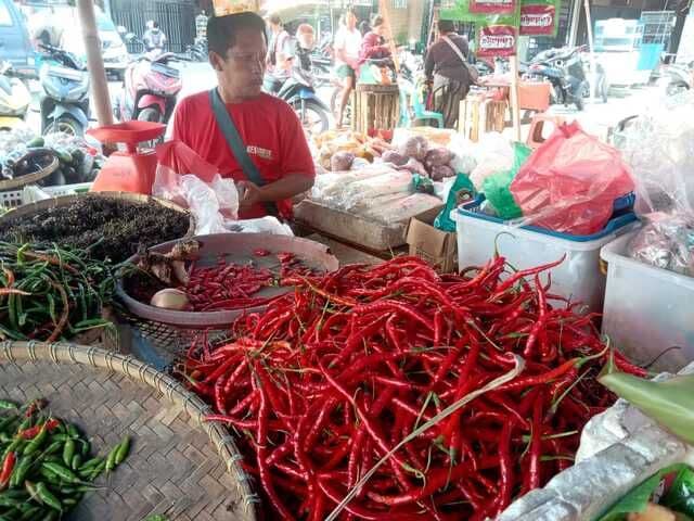 harga_cabai_merah_di_onan_porsea_merangkak_turun