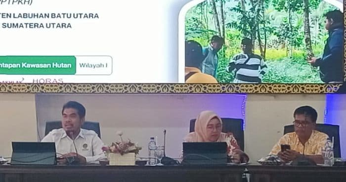 24128_ha_wilayah_labura_potensial_lepas_dari_kawasan_hutan_