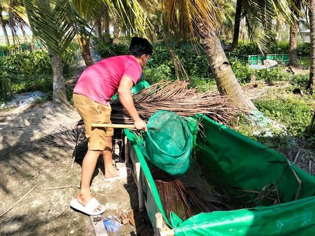 budidaya_belut_sawah_di_sergai_indra_raup_omzet_rp20_juta_per_bulan