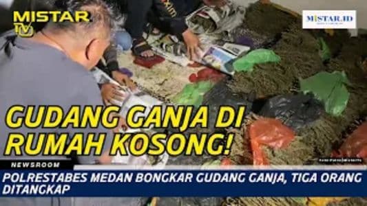 newsroom_polrestabes_medan_bongkar_gudang_ganja_tiga_orang_ditangkap