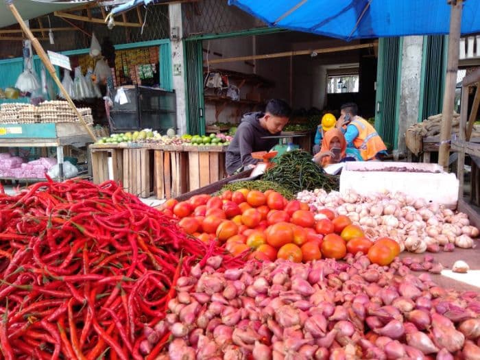 cabai_merah_rp72_ribu_per_kg_di_lubuk_pakam_petani_siaga_di_ladang