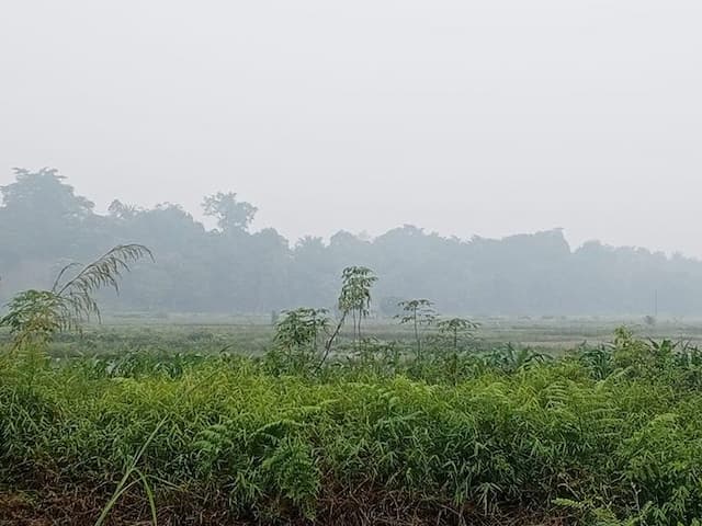 kabut_asap_makin_pekat_di_toba_warga_berharap_hujan_segera_turun