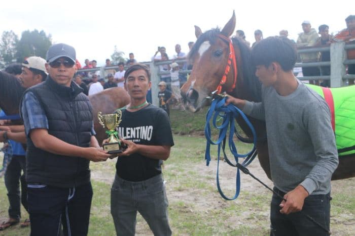 bupati_taput_buka_indonesia_horse_racing_sumut_cup_seri_i_di_siborongborong