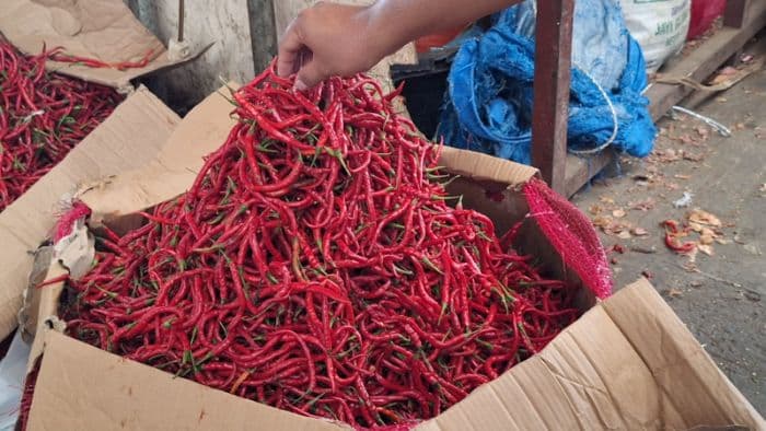 harga_cabai_di_pasar_medan_bergerak_berbedabeda_bawang_merah_kembali_naik