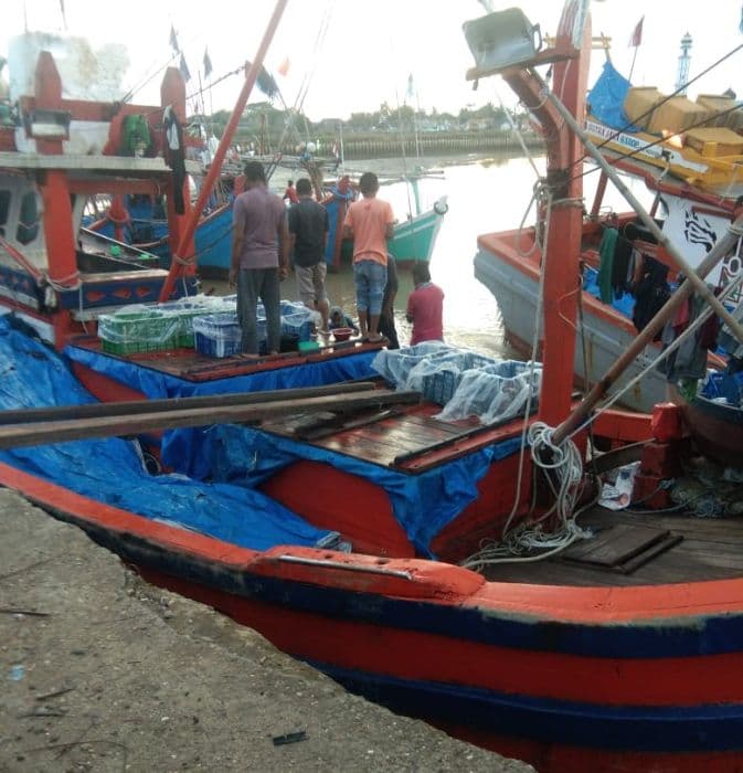 harga_ikan_laut_di_medan_utara_mahal