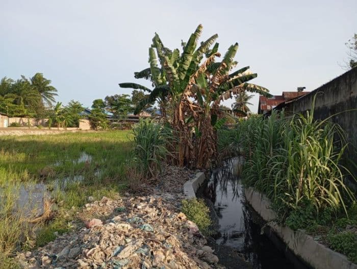 air_limbah_pasar_bakaran_batu_cemari_sawah_warga_di_lubuk_pakam
