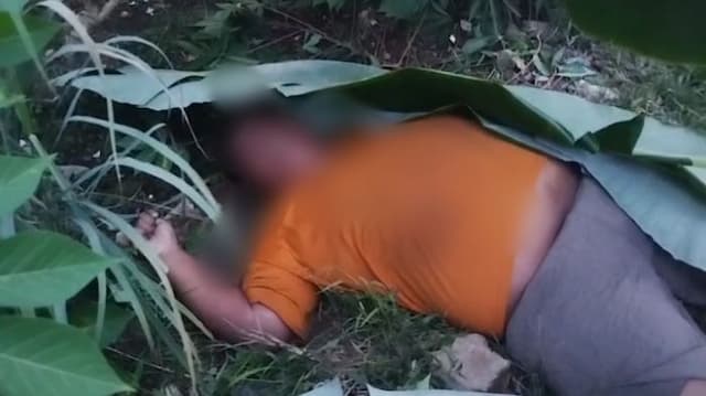 tiga_hari_tak_pulang_pria_dewasa_ditemukan_tewas_di_delitua