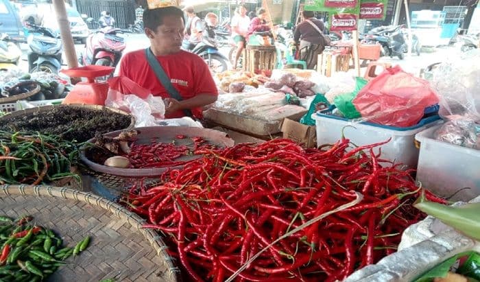 harga_cabai_dan_kelapa_stabil_di_toba_konsumen_tetap_mengeluh_mahal