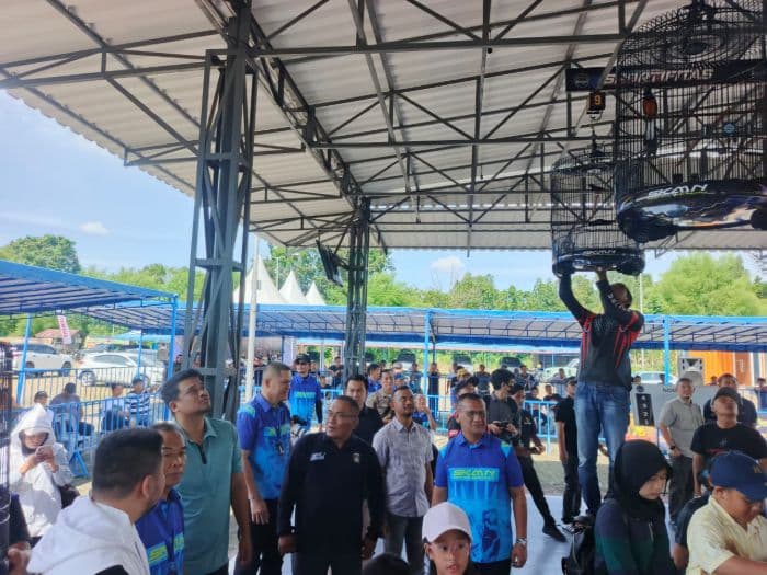 hadiri_kontes_burung_di_medan_bobby_nasution_teringat_lagu_kicau_mania
