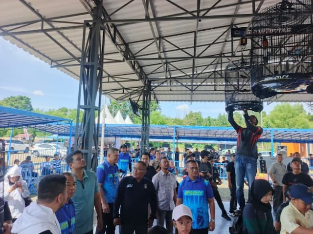 hadiri_kontes_burung_di_medan_bobby_nasution_teringat_lagu_kicau_mania