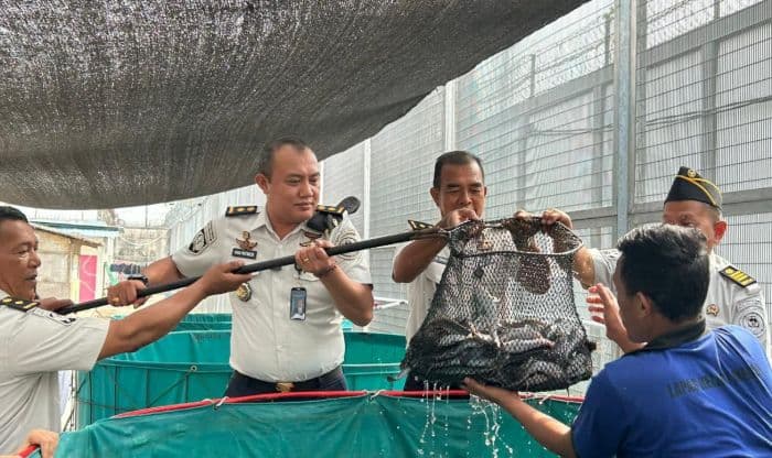 lapas_tanjung_gusta_medan_panen_250_kg_ikan_lele_dari_budidaya_warga_binaan