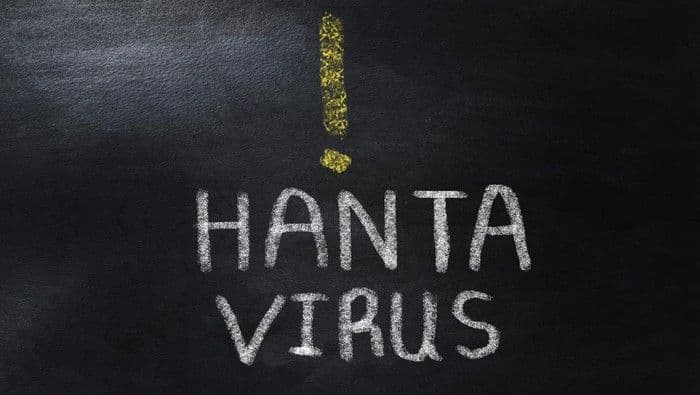 penumpang_kapal_pesiar_mv_hondius_diduga_terinfeksi_hantavirus_andes_