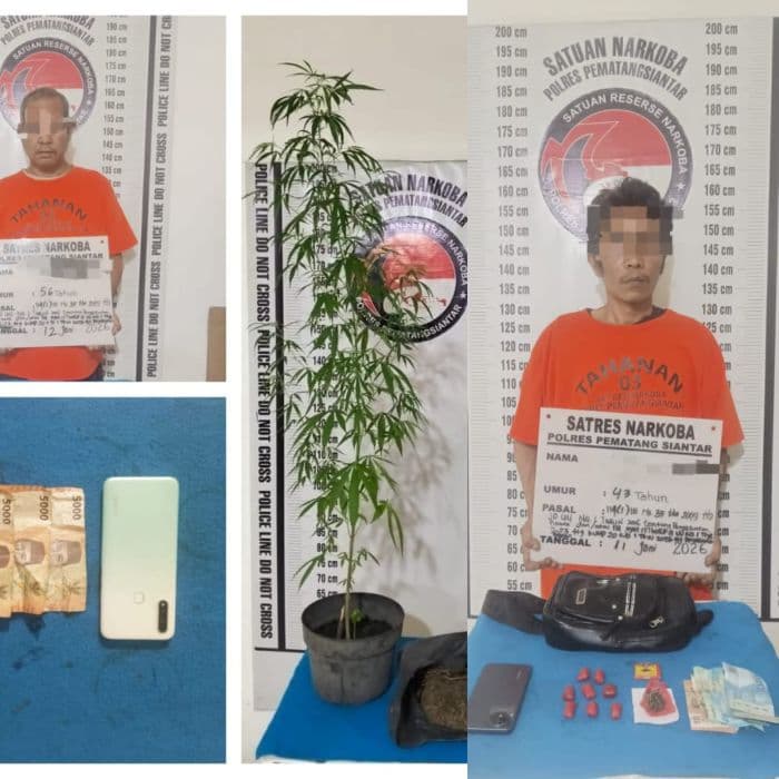 polisi_ungkap_dua_kasus_narkoba_di_siantar_sita_692_gram_dan_pohon_ganja