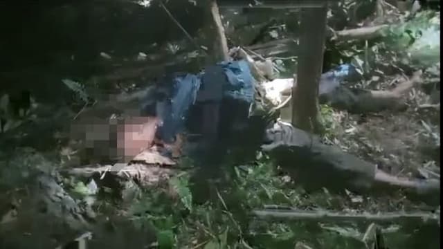 seorang_pemancing_tewas_diduga_diserang_gajah_liar_di_aliran_sungai_sei_lepan