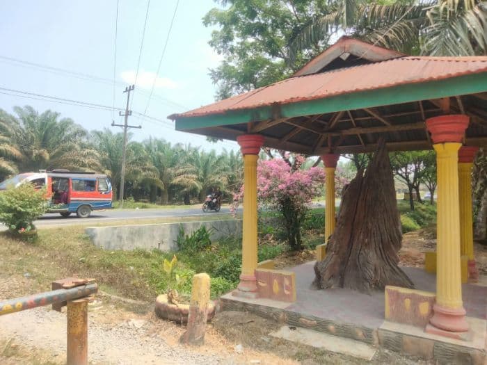 tunggul_berusia_ratusan_tahun_di_asahan_diyakini_jadi_tempat_pejuang_bertukar_kabar_lawan_belanda