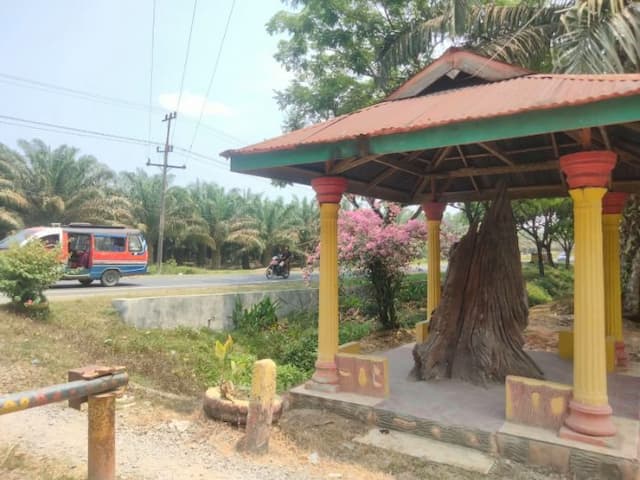tunggul_berusia_ratusan_tahun_di_asahan_diyakini_jadi_tempat_pejuang_bertukar_kabar_lawan_belanda