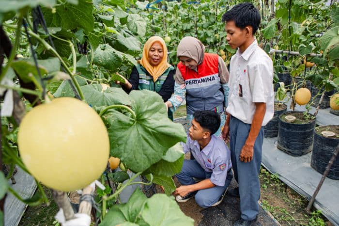 wisata_petik_melon_dan_reopening_kafe_inklusi_pertamina_perkuat_pemulihan_mitra_binaan_pascabanjir_