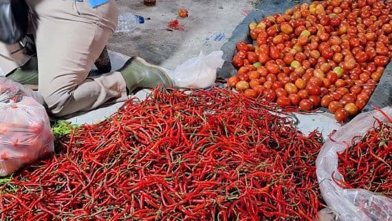 harga_cabai_merah_di_medan_tembus_rp90_ribu_bawang_justru_turun