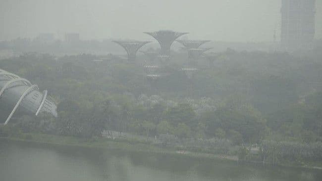 singapura_soroti_7_perusahaan_indonesia_terkait_karhutla_dan_kabut_asap