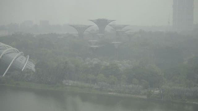 singapura_soroti_7_perusahaan_indonesia_terkait_karhutla_dan_kabut_asap