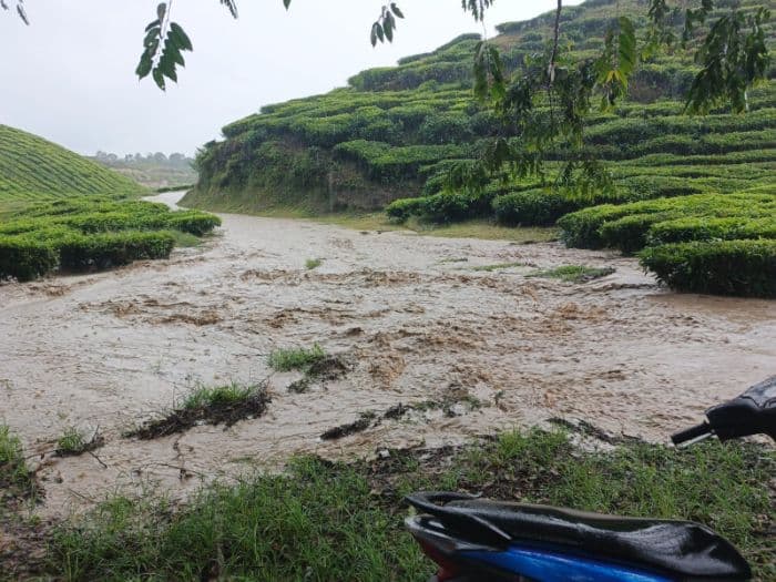 banjir_di_kebun_teh_sidamanik_dekat_lokasi_konversi_sawit_