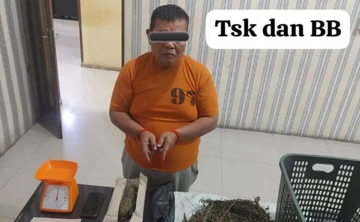 residivis_narkoba_kabanjahe_kembali_ditangkap_15_kg_ganja_disita_di_simpang_empat