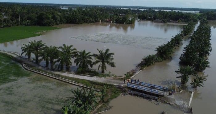 hujan_timbulkan_banjir_ratusan_hektar_sawah_di_asahan_rusak