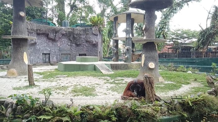 menikmati_liburan_akhir_pekan_di_taman_hewan_pematangsiantar