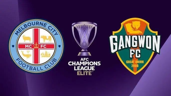 hasil_babak_8_afc_champions_league_melbourne_city_fc_imbang_lawan_gangwon_fc