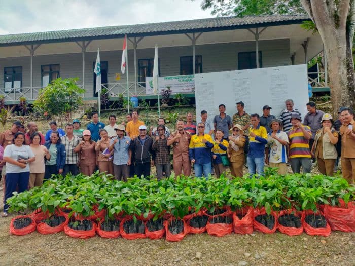 120_petani_di_dairi_dapat_bantuan_bibit_kakao_dari_pt_dpm_