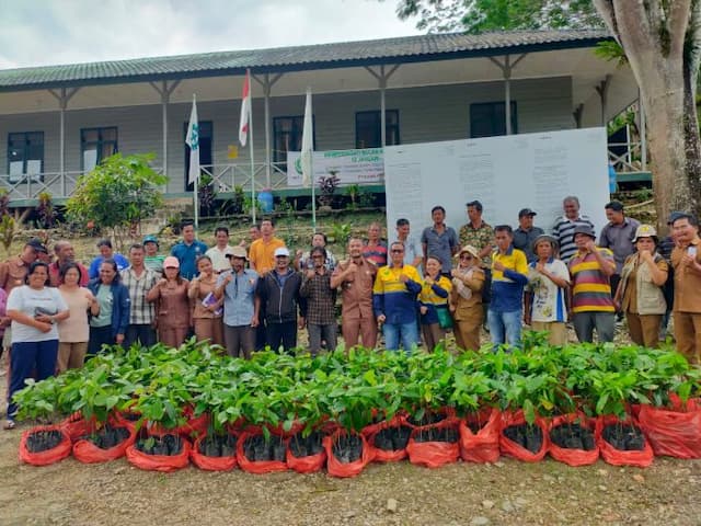120_petani_di_dairi_dapat_bantuan_bibit_kakao_dari_pt_dpm_