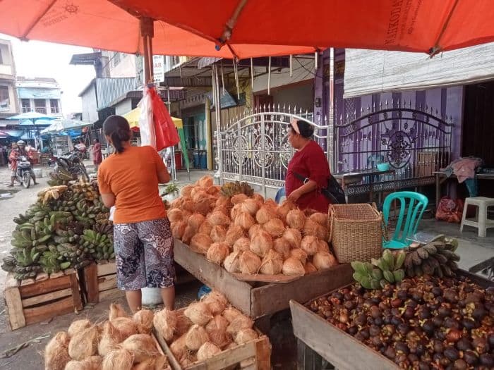 harga_kelapa_di_toba_stabil_saat_ramadan