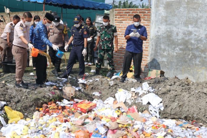 karantina_sumut_musnahkan_5_ton_mangga_ilegal_asal_vietnam